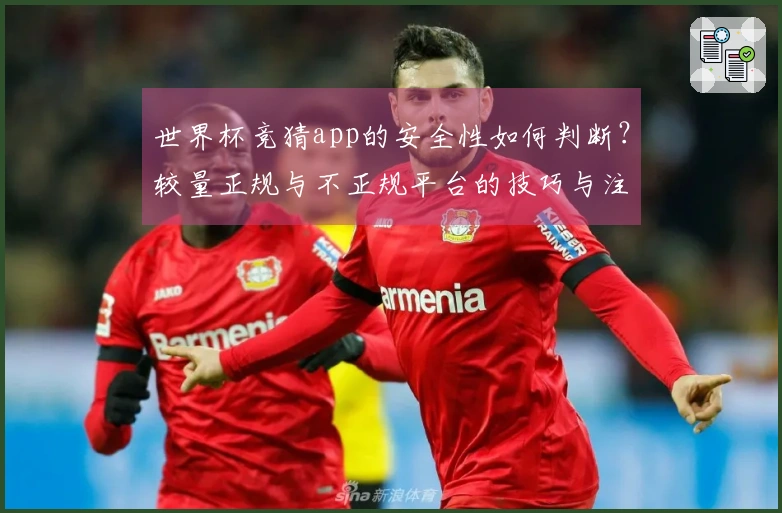 世界杯竞猜app的安全性如何判断？较量正规与不正规平台的技巧与注意事项