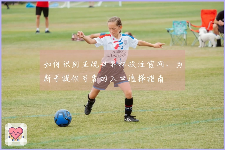 如何识别正规世界杯投注官网，为新手提供可靠的入口选择指南