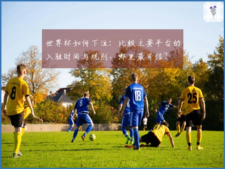 世界杯如何下注：比较主要平台的入驻时间与规则，哪里最可信？