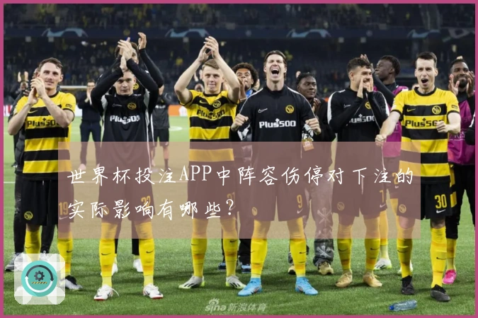 世界杯投注APP中阵容伤停对下注的实际影响有哪些？