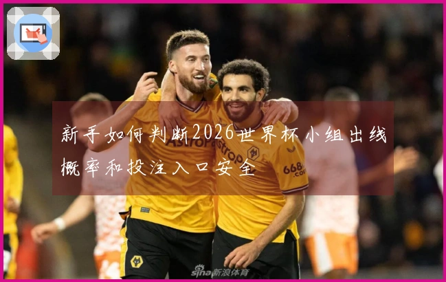 新手如何判断2026世界杯小组出线概率和投注入口安全