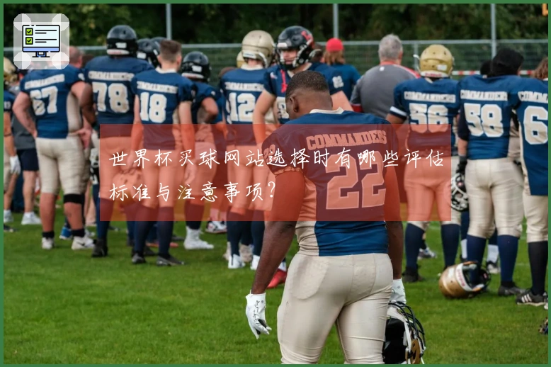 世界杯买球网站选择时有哪些评估标准与注意事项？