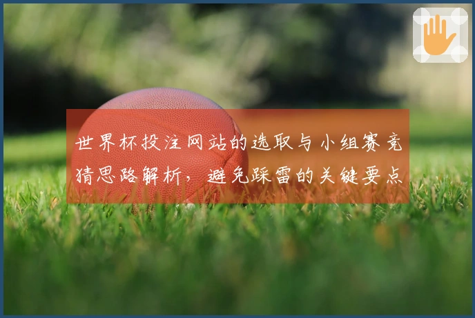 世界杯投注网站的选取与小组赛竞猜思路解析,避免踩雷的关键要点是什么?