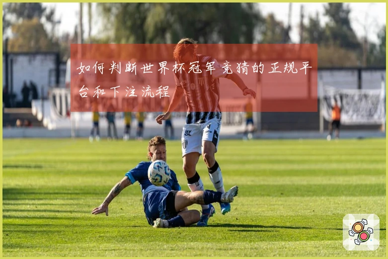 如何判断世界杯冠军竞猜的正规平台和下注流程