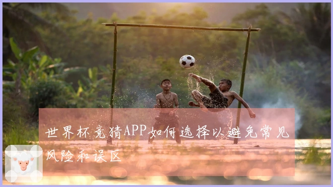 世界杯竞猜APP如何选择以避免常见风险和误区