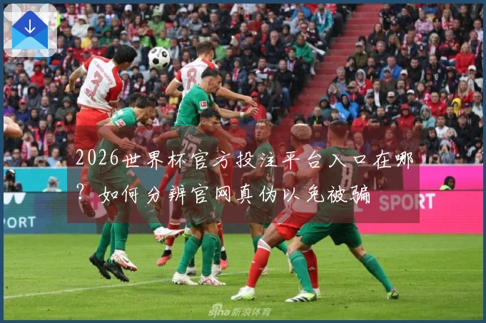 2026世界杯官方投注平台入口在哪？如何分辨官网真伪以免被骗