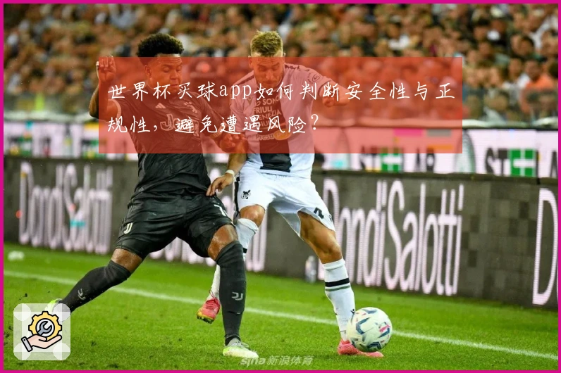 世界杯买球app如何判断安全性与正规性，避免遭遇风险？
