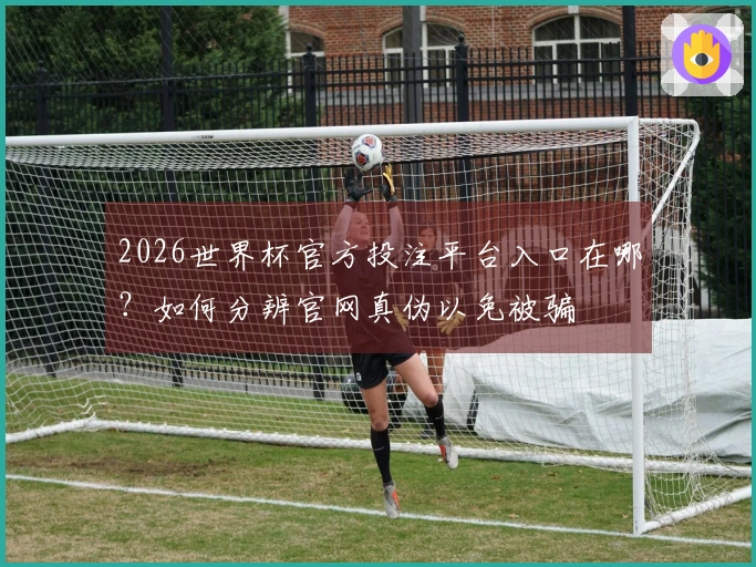 2026世界杯官方投注平台入口在哪？如何分辨官网真伪以免被骗