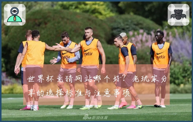 世界杯竞猜网站哪个好？老玩家分享的选择标准与注意事项
