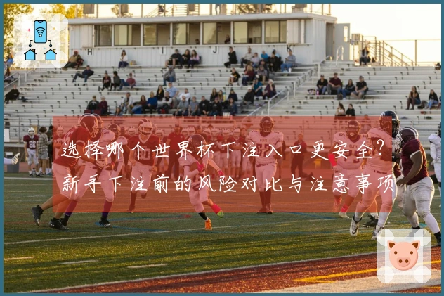 选择哪个世界杯下注入口更安全？新手下注前的风险对比与注意事项