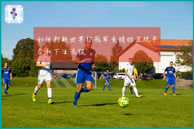 如何判断世界杯冠军竞猜的正规平台和下注流程
