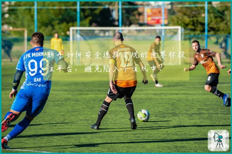 新手如何安全选择合规的世界杯投注平台，避免陷入下注坑中？