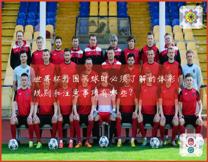 世界杯外围买球时必须了解的体彩规则和注意事项有哪些？
