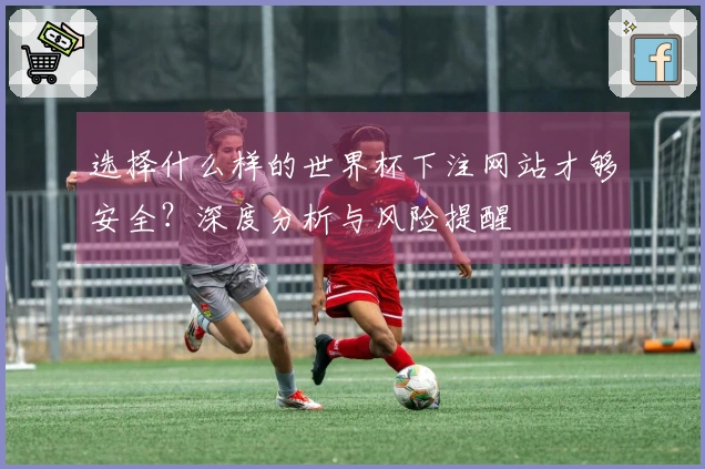 选择什么样的世界杯下注网站才够安全?深度分析与风险提醒