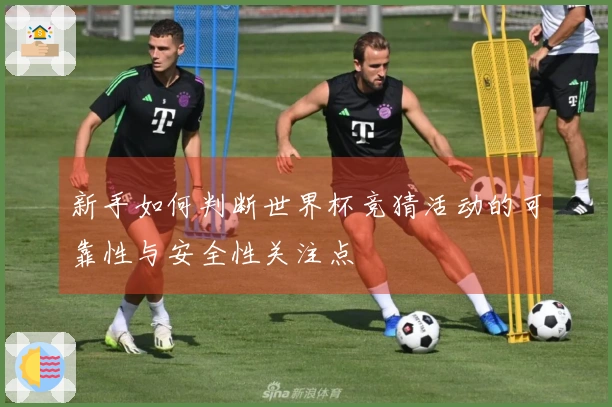 新手如何判断世界杯竞猜活动的可靠性与安全性关注点