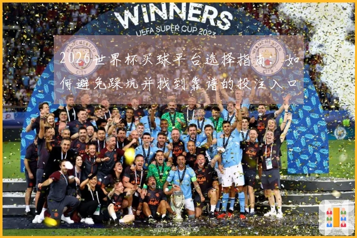2026世界杯买球平台选择指南：如何避免踩坑并找到靠谱的投注入口
