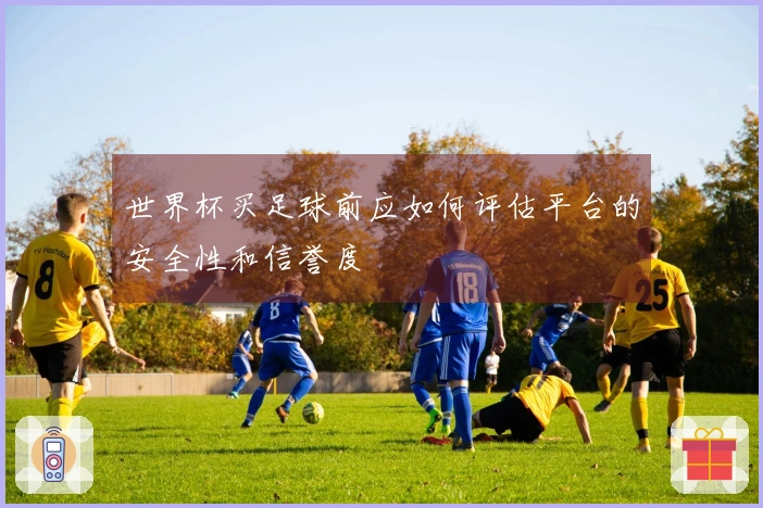 世界杯买足球前应如何评估平台的安全性和信誉度