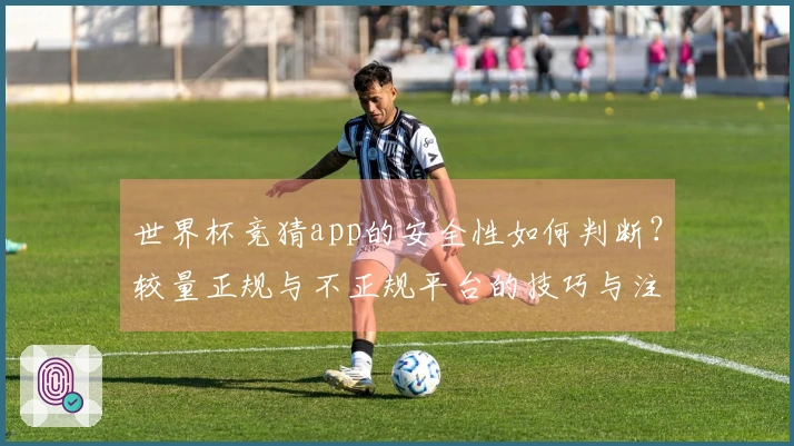 世界杯竞猜app的安全性如何判断？较量正规与不正规平台的技巧与注意事项