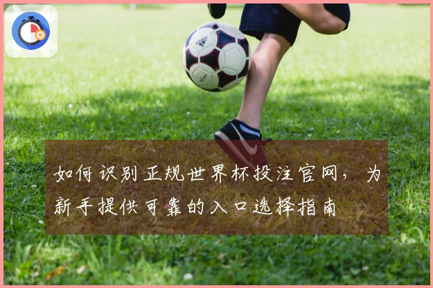 如何识别正规世界杯投注官网，为新手提供可靠的入口选择指南