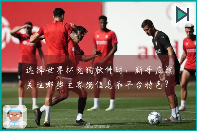 选择世界杯竞猜软件时，新手应该关注哪些主客场信息和平台特色？