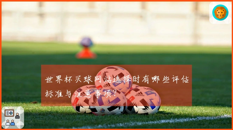 世界杯买球网站选择时有哪些评估标准与注意事项？