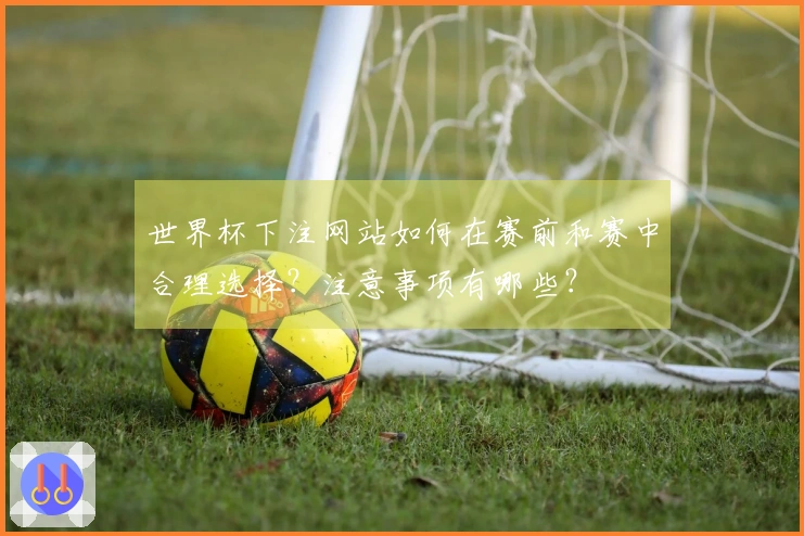世界杯下注网站如何在赛前和赛中合理选择？注意事项有哪些？