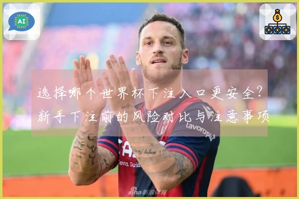 选择哪个世界杯下注入口更安全？新手下注前的风险对比与注意事项