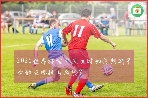 2026世界杯官方投注时如何判断平台的正规性与风险？