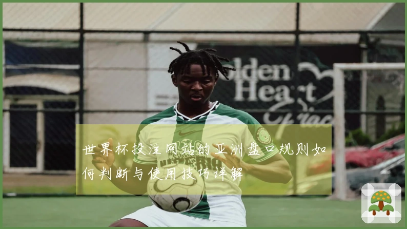 世界杯投注网站的亚洲盘口规则如何判断与使用技巧详解