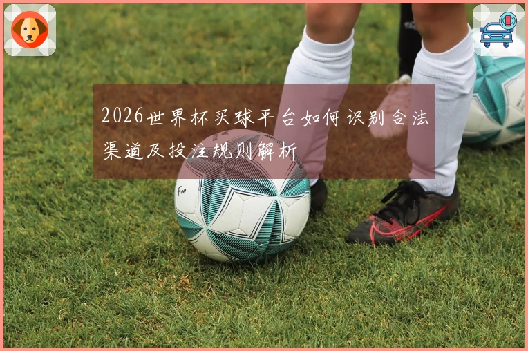 2026世界杯买球平台如何识别合法渠道及投注规则解析