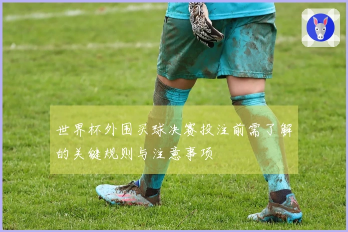 世界杯外围买球决赛投注前需了解的关键规则与注意事项
