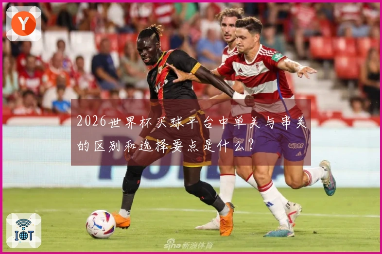 2026世界杯买球平台中单关与串关的区别和选择要点是什么？