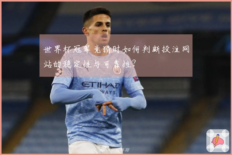 世界杯冠军竞猜时如何判断投注网站的稳定性与可靠性？