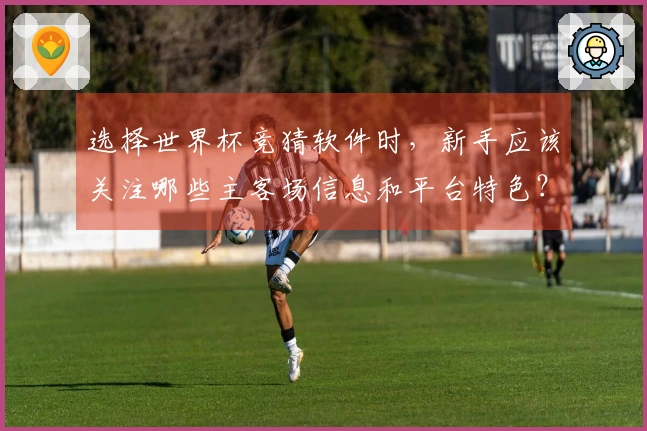 选择世界杯竞猜软件时，新手应该关注哪些主客场信息和平台特色？