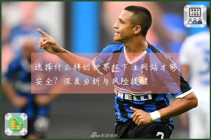 选择什么样的世界杯下注网站才够安全？深度分析与风险提醒