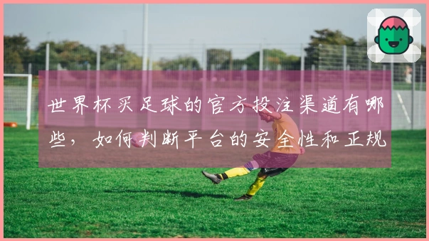 世界杯买足球的官方投注渠道有哪些，如何判断平台的安全性和正规性？