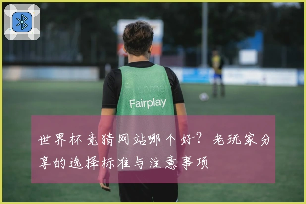 世界杯竞猜网站哪个好？老玩家分享的选择标准与注意事项
