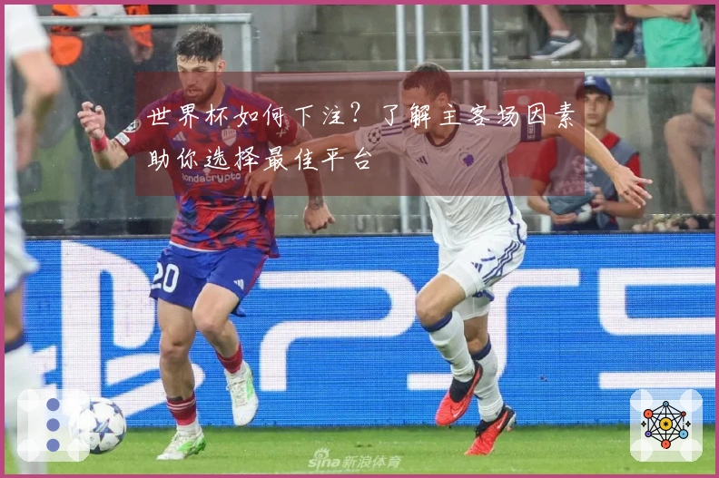 世界杯如何下注？了解主客场因素助你选择最佳平台